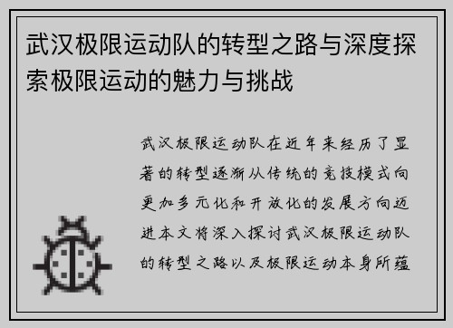 武汉极限运动队的转型之路与深度探索极限运动的魅力与挑战